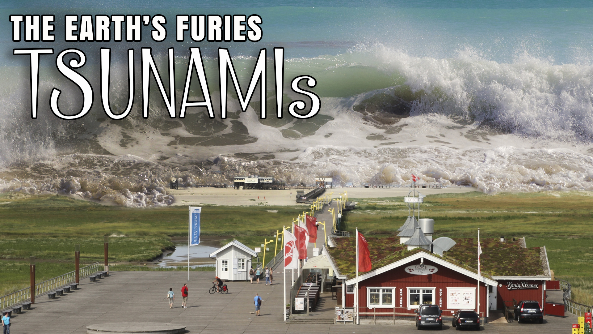 The Earth's Furies - TSUNAMIS