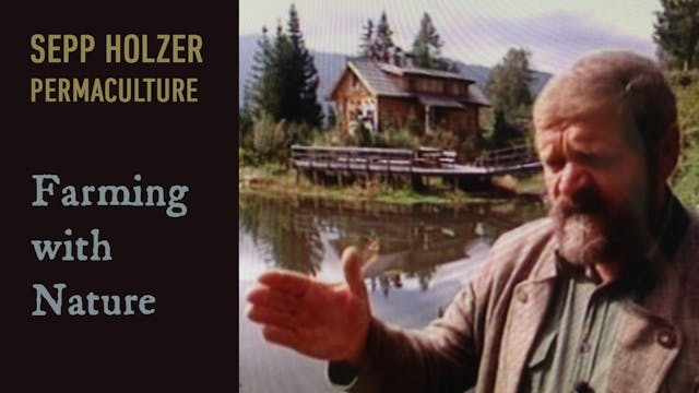 Sepp Holzer Permaculture - Farming wi...