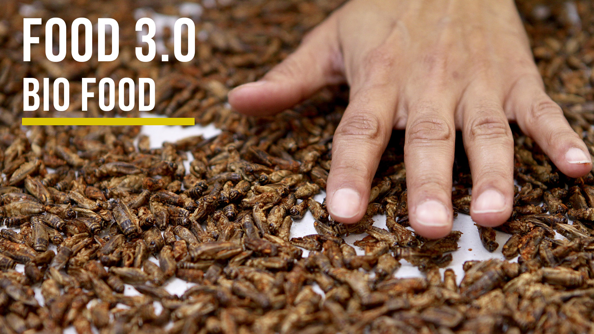 FOOD 3.0 Episode 2 BIO FOOD