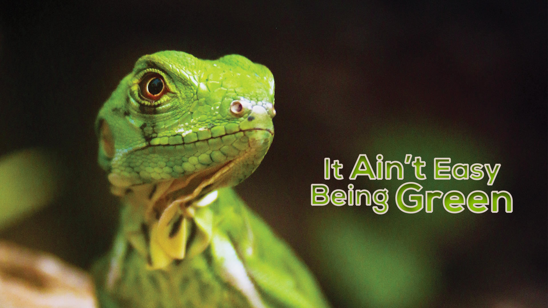 It Aint Easy Being Green