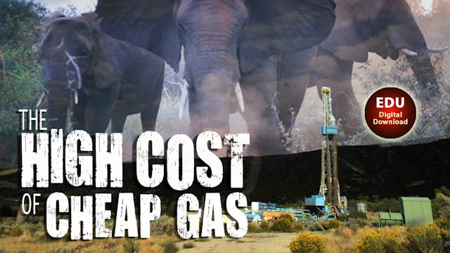 The High Cost of Cheap Gas - EDU