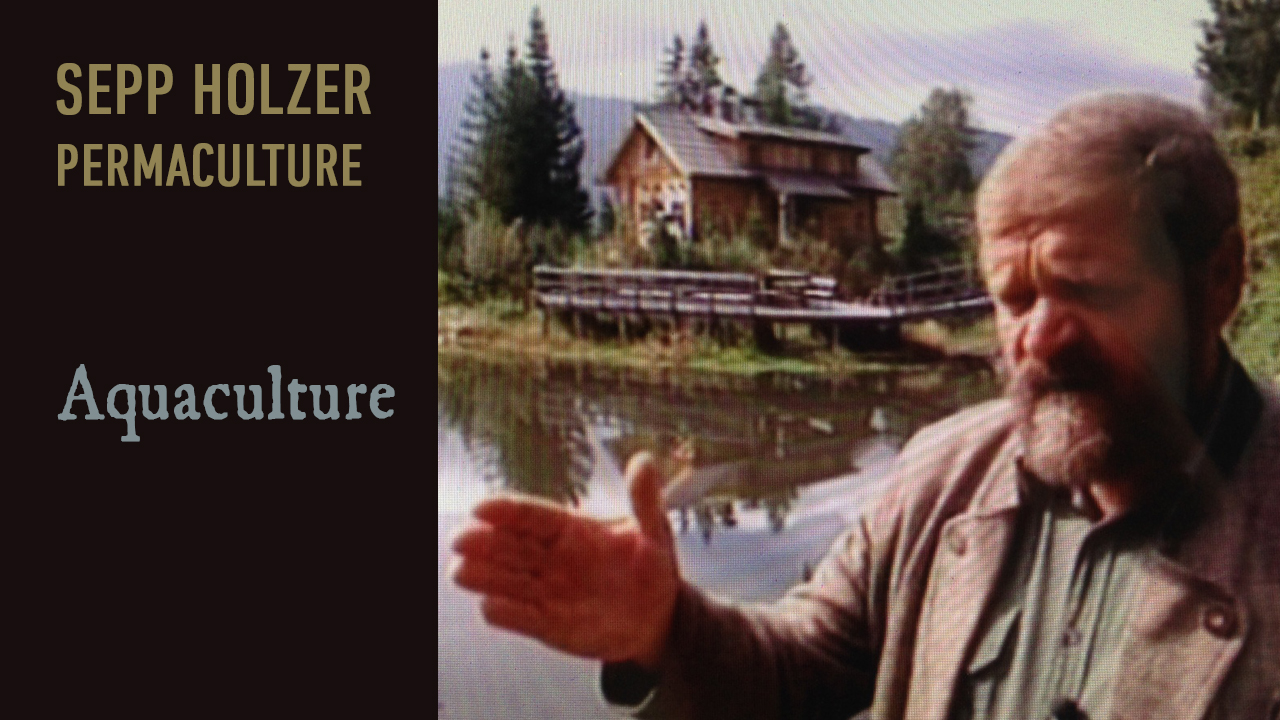 Sepp Holzer Permaculture - Aquaculture