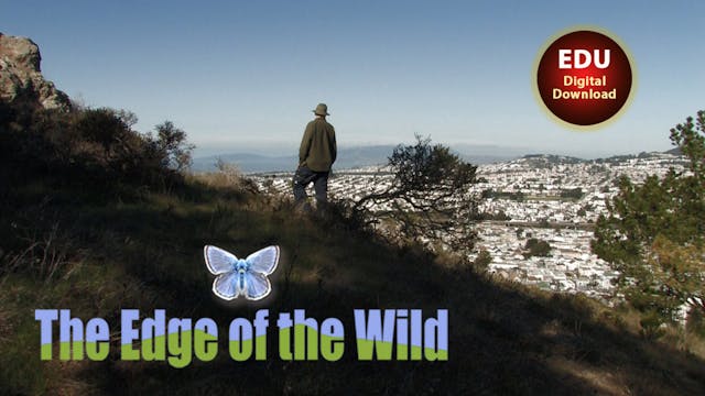 The Edge of the Wild - EDU