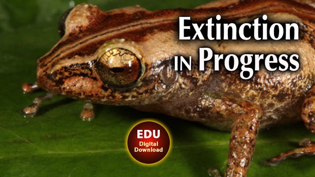 Extinction in Progress - EDU