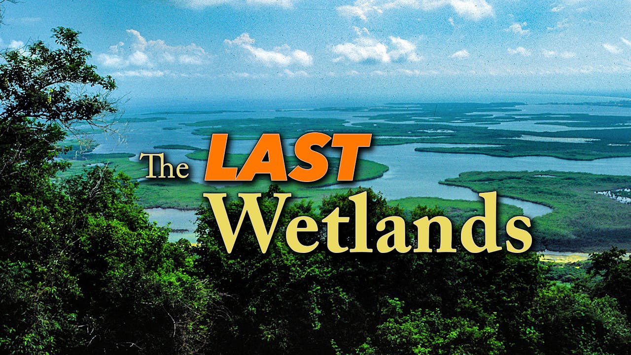 The Last Wetlands