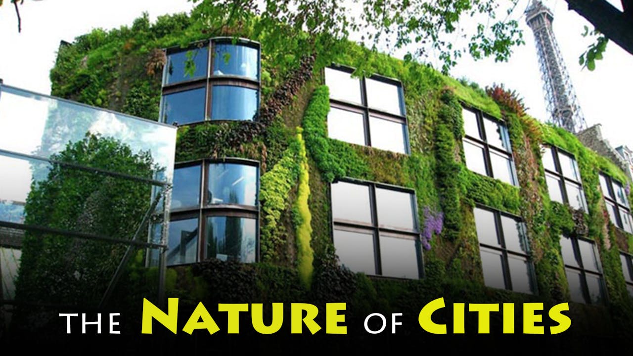 The Nature of Cities Stream