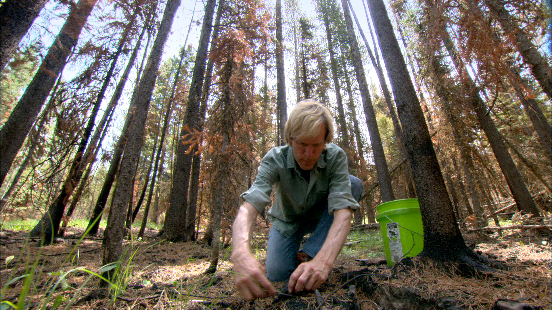 DEEP GREEN How to Stop Global Warming Now - Trailer