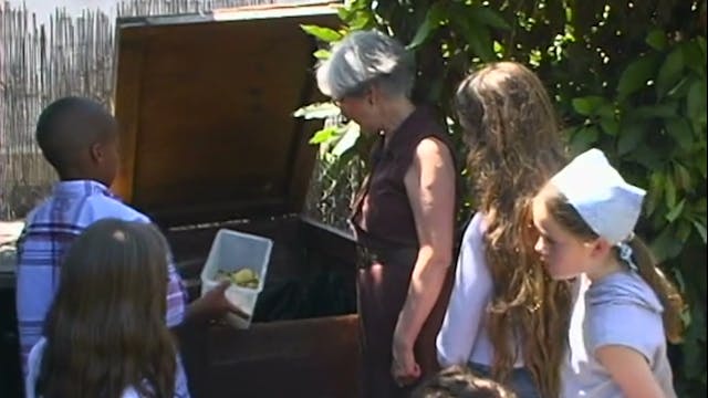 Going Green: Every Home an Eco Home