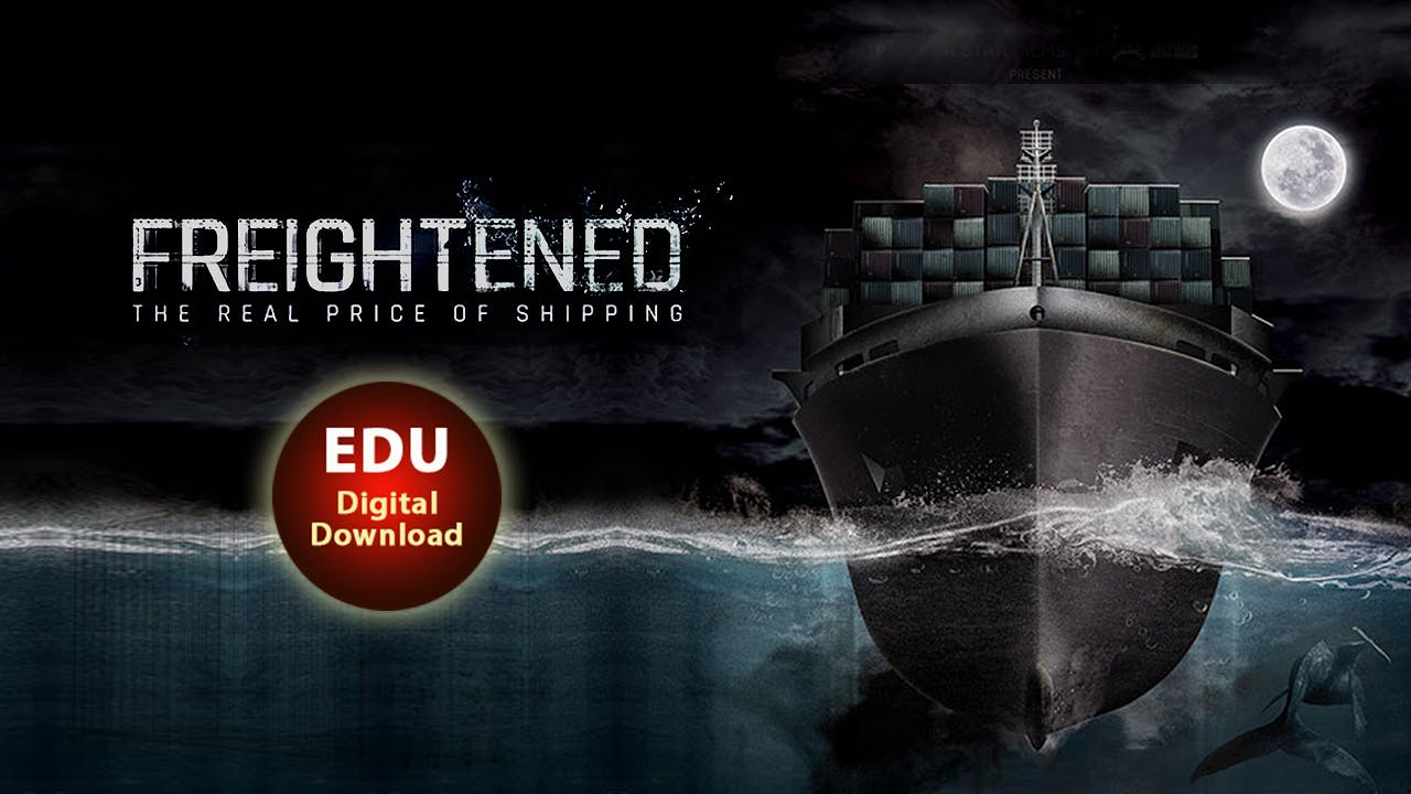 FREIGHTENED The Real Price of Shipping - EDU