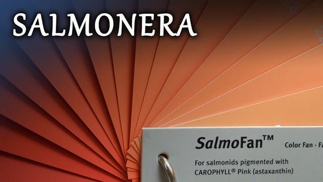 Salmonera