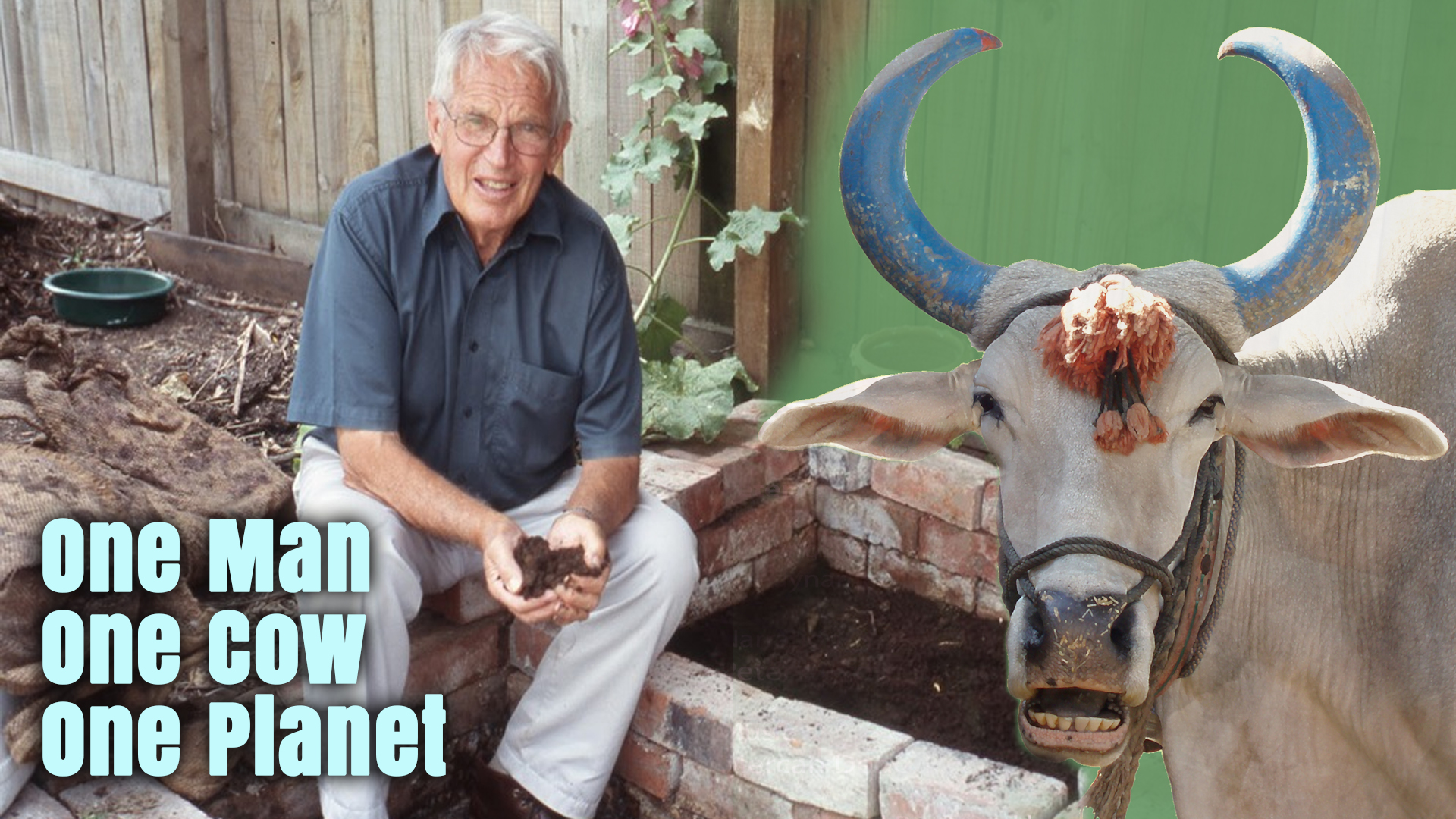 One Man One Cow One Planet