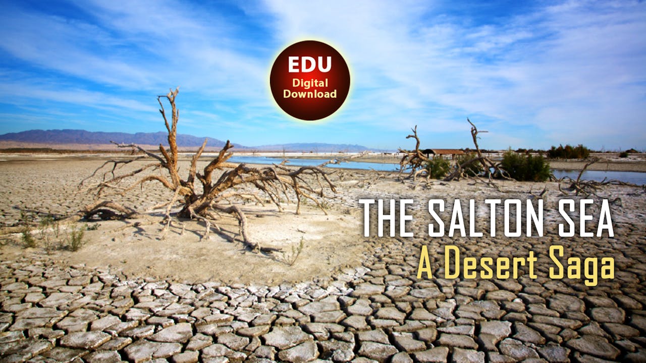 The Salton Sea: A Desert Saga - EDU