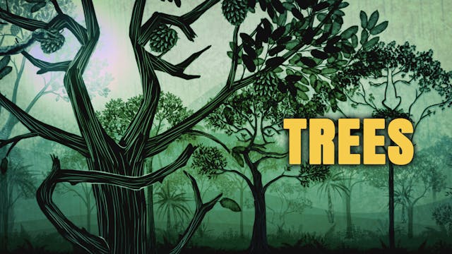 Trees