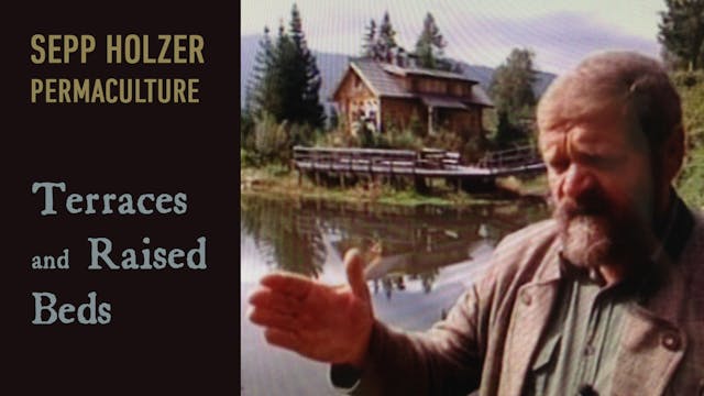 Sepp Holzer Permaculture - Terraces &...