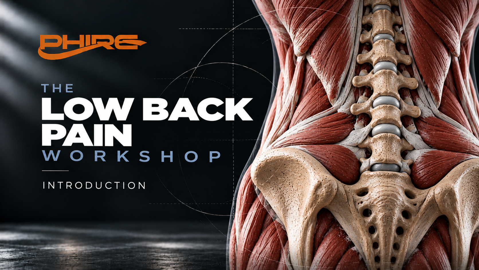 Low Back Pain Workshop, Introduction