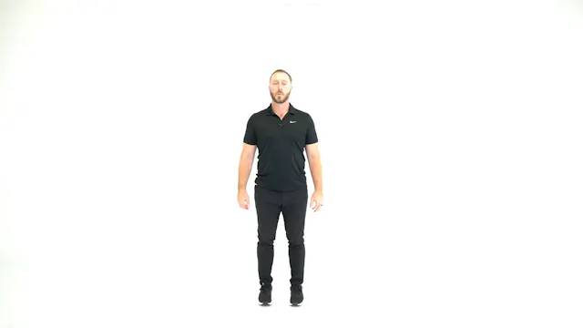 Latissimus Dorsi Mobilzer
