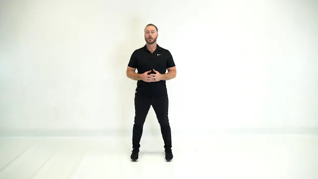 Lewitt Technique