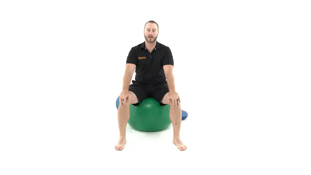 Proprioception of the Lumbar Spine