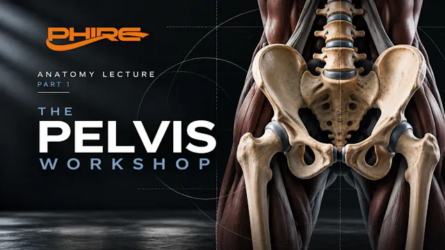 Anatomy Lecture Part 1