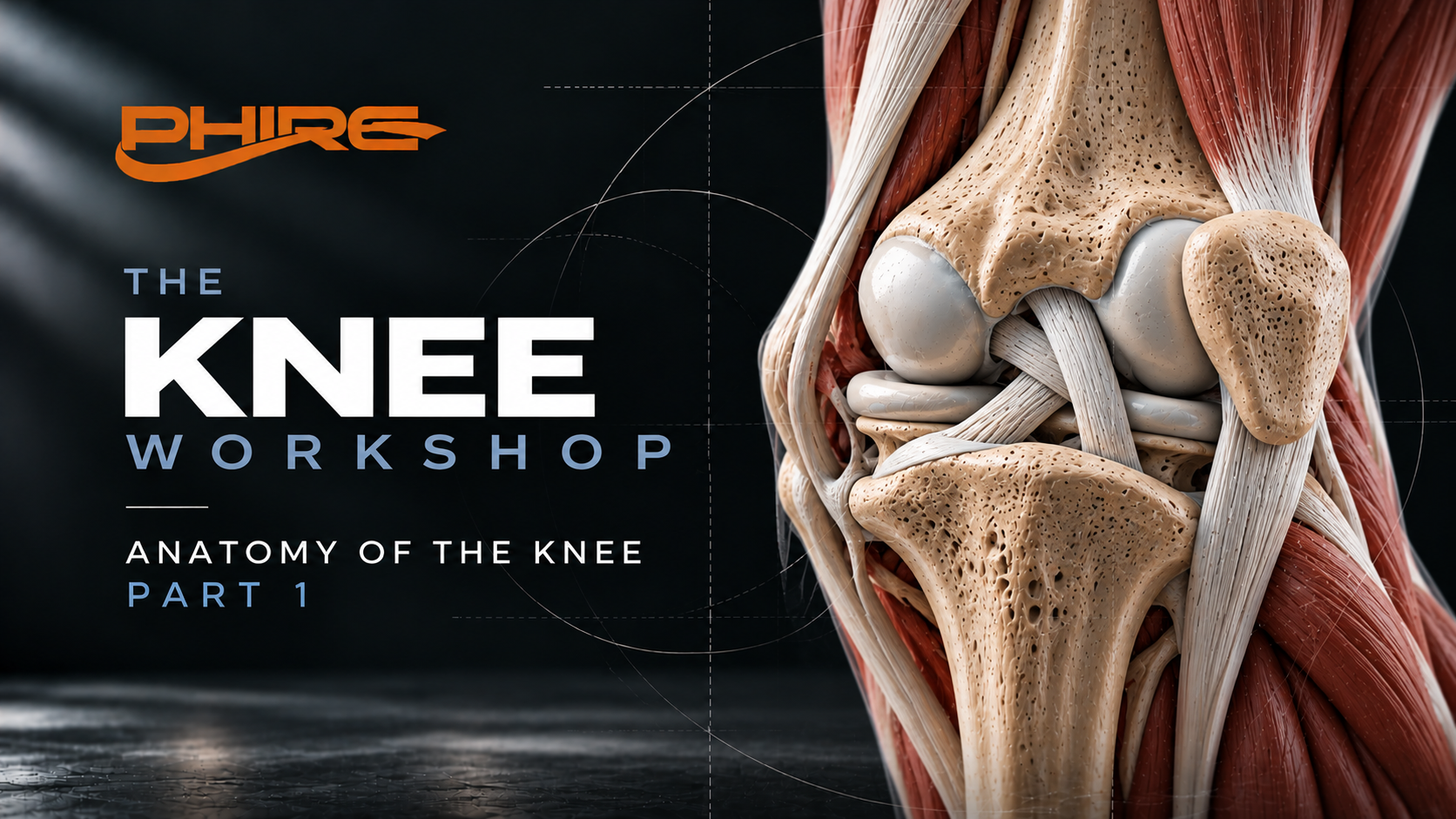 Anatomy of the Knee Lecture - Part 1