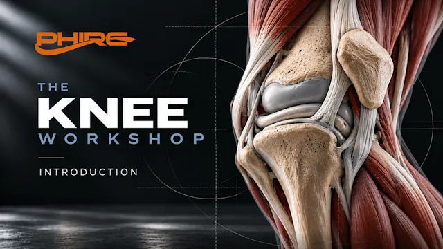 The Knee Workshop Introduction