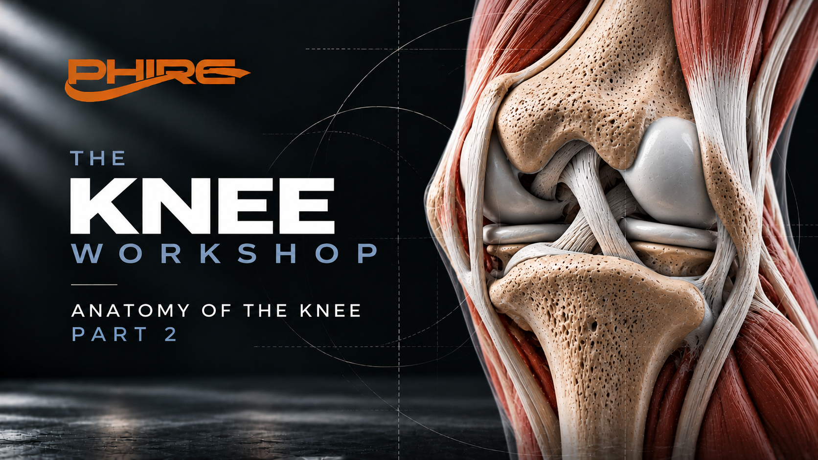 Anatomy of the Knee Lecture - Part 2