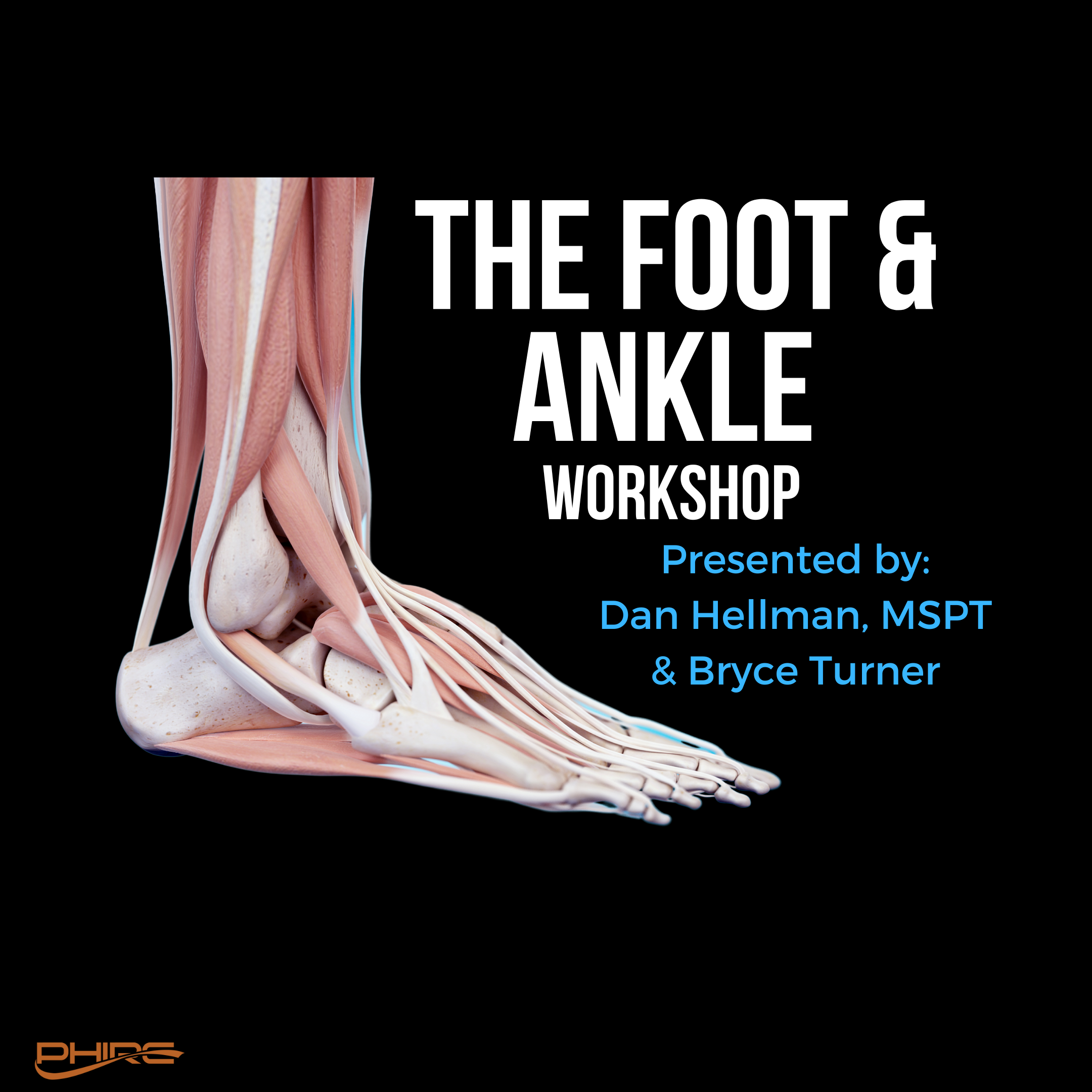 The Foot & Ankle Workshop