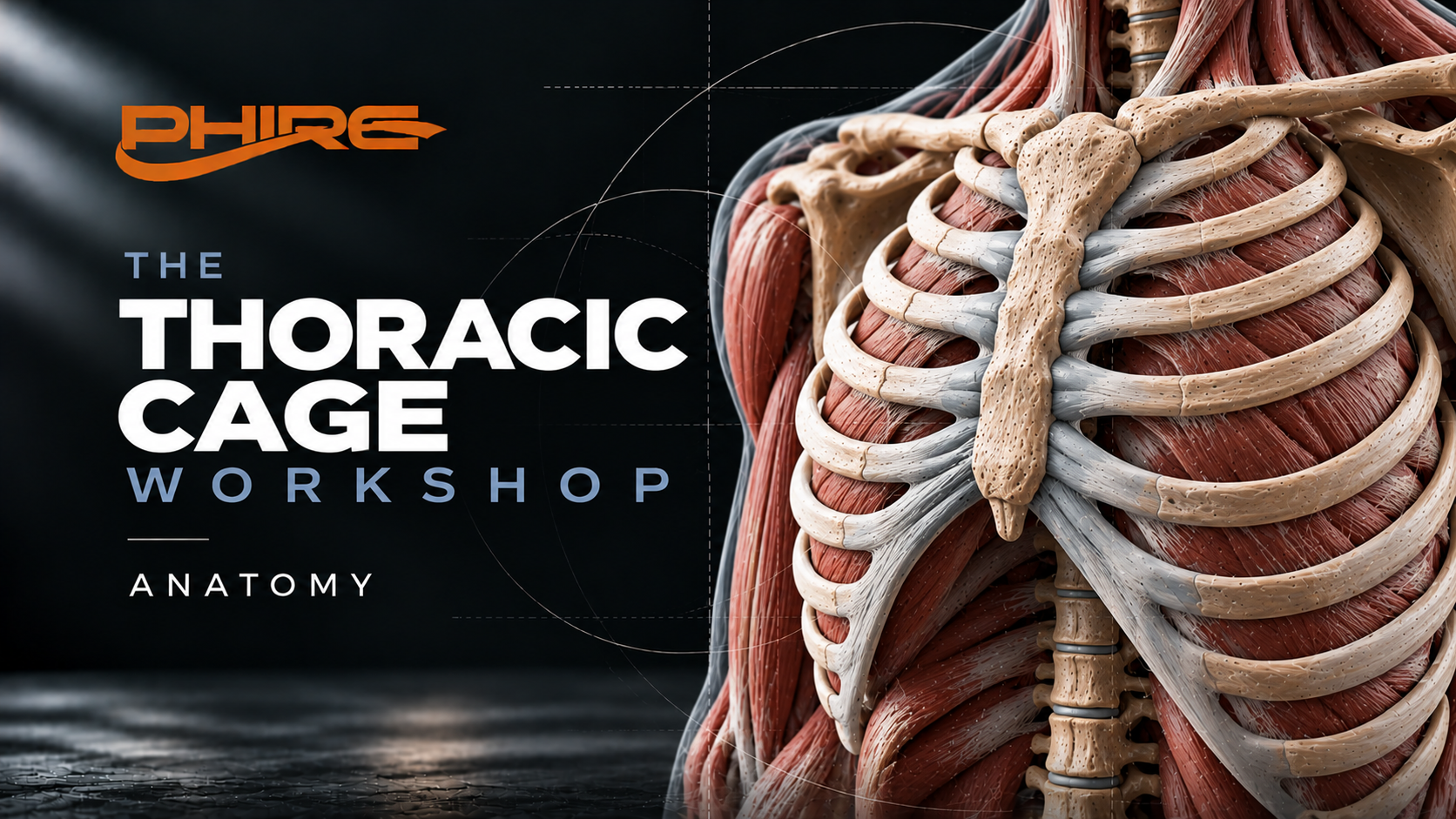 Thoracic Cage Anatomy