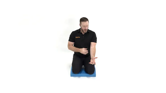 MFS Pronator