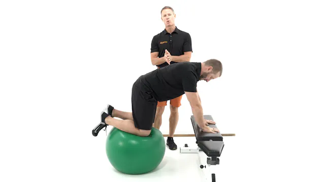 Horse Stance with Perterbations