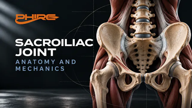 Sacroiliac Joint - Anatomy and Mechanics