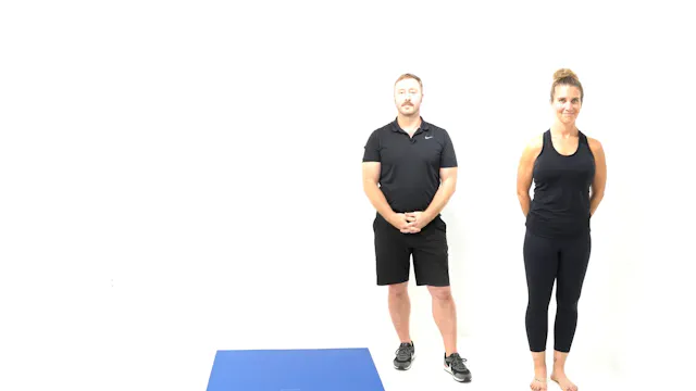 4 Part Gluteus Maximus and 3 Part Glu...