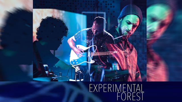 Experimental Forest: 6-15-19