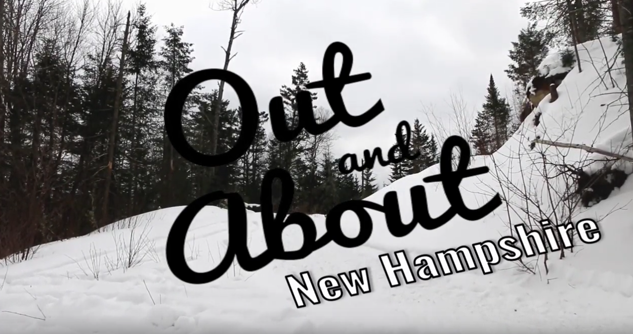 Out and About Muddy Paw Sled Dog Kennel