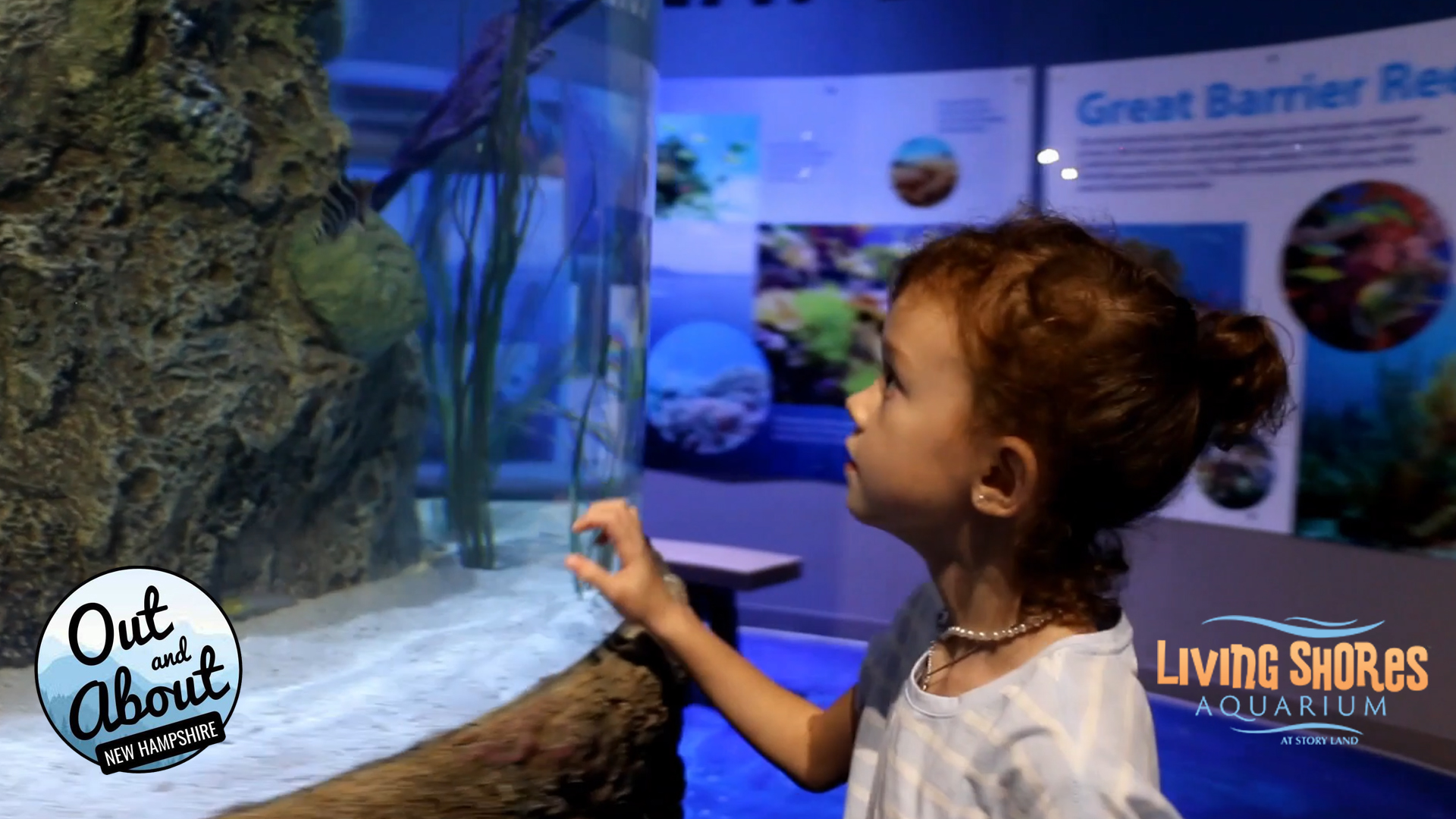 Out & About - Living Shores Aquarium