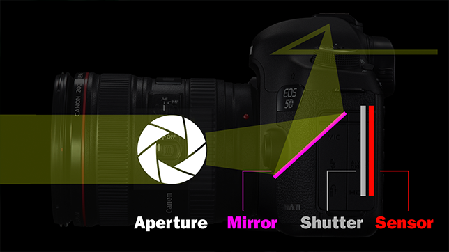 The Basics (pt. 1 of 13): How Your Digital Camera Works