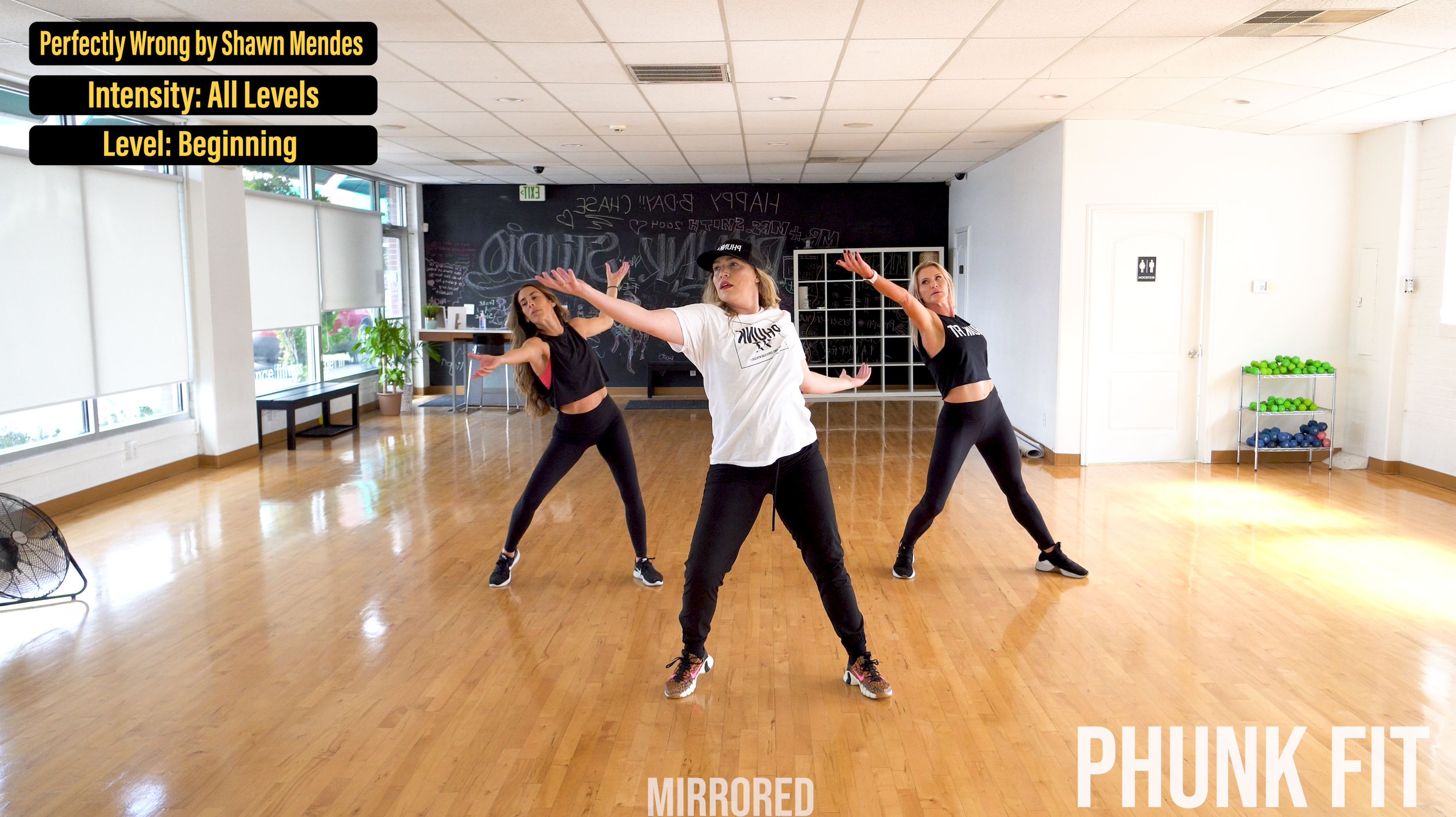 Perfectly Wrong - Shawn Mendes