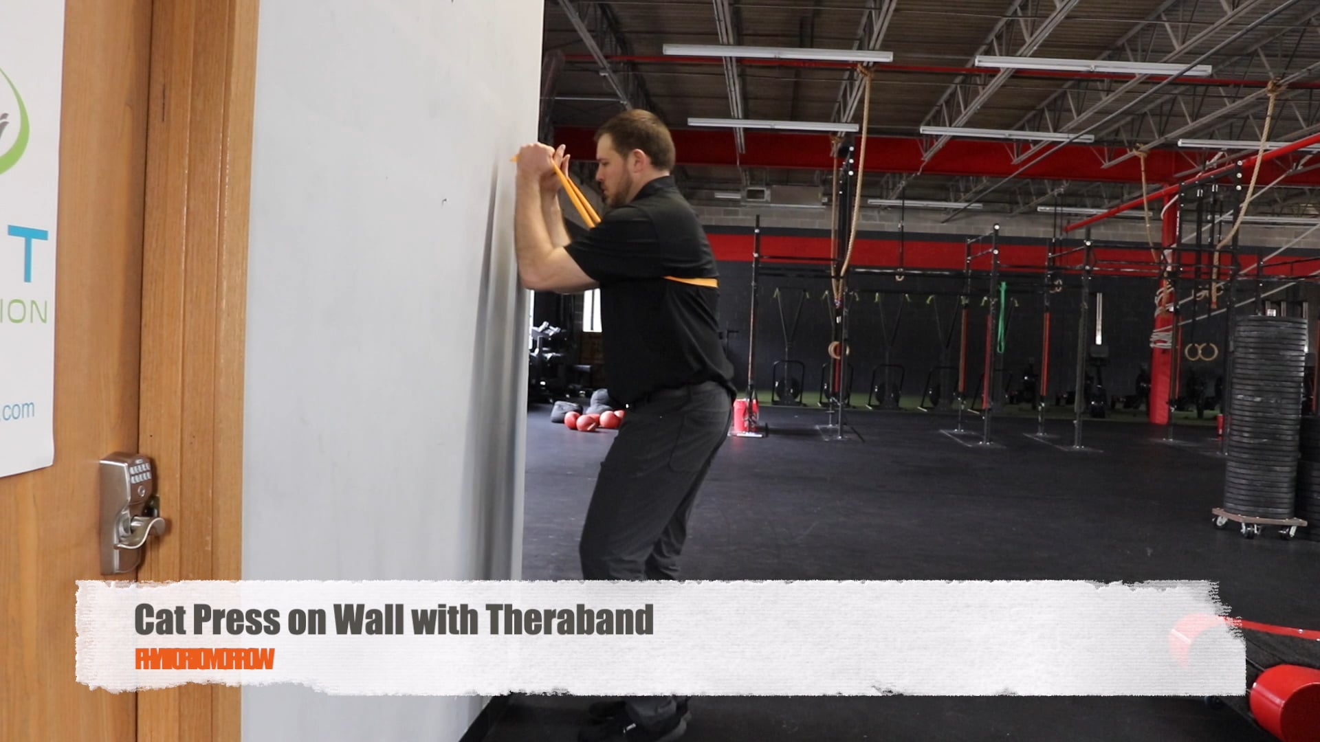 Cat Press On Wall With Theraband