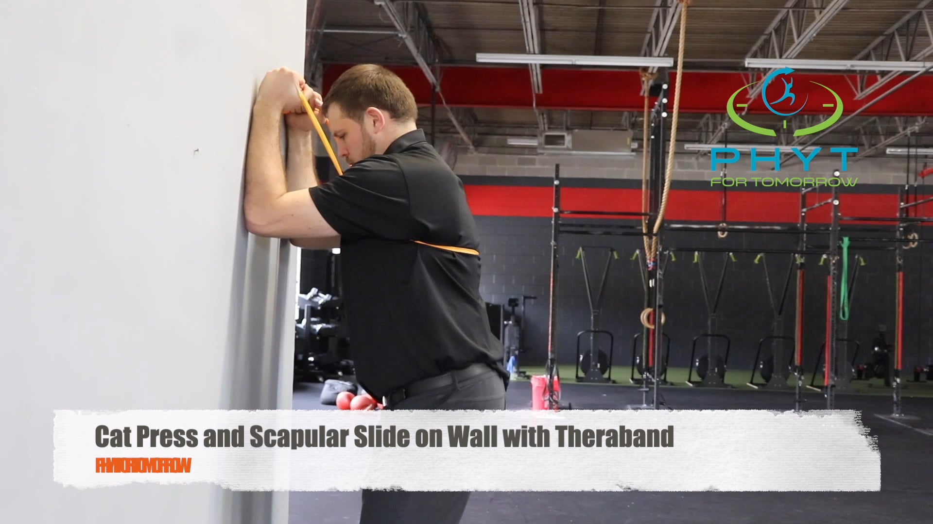 Cat Press and Slide on Wall With Theraband. 
