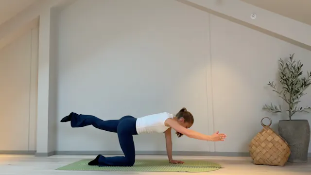 DAG 7 | Nybegynner Challenge