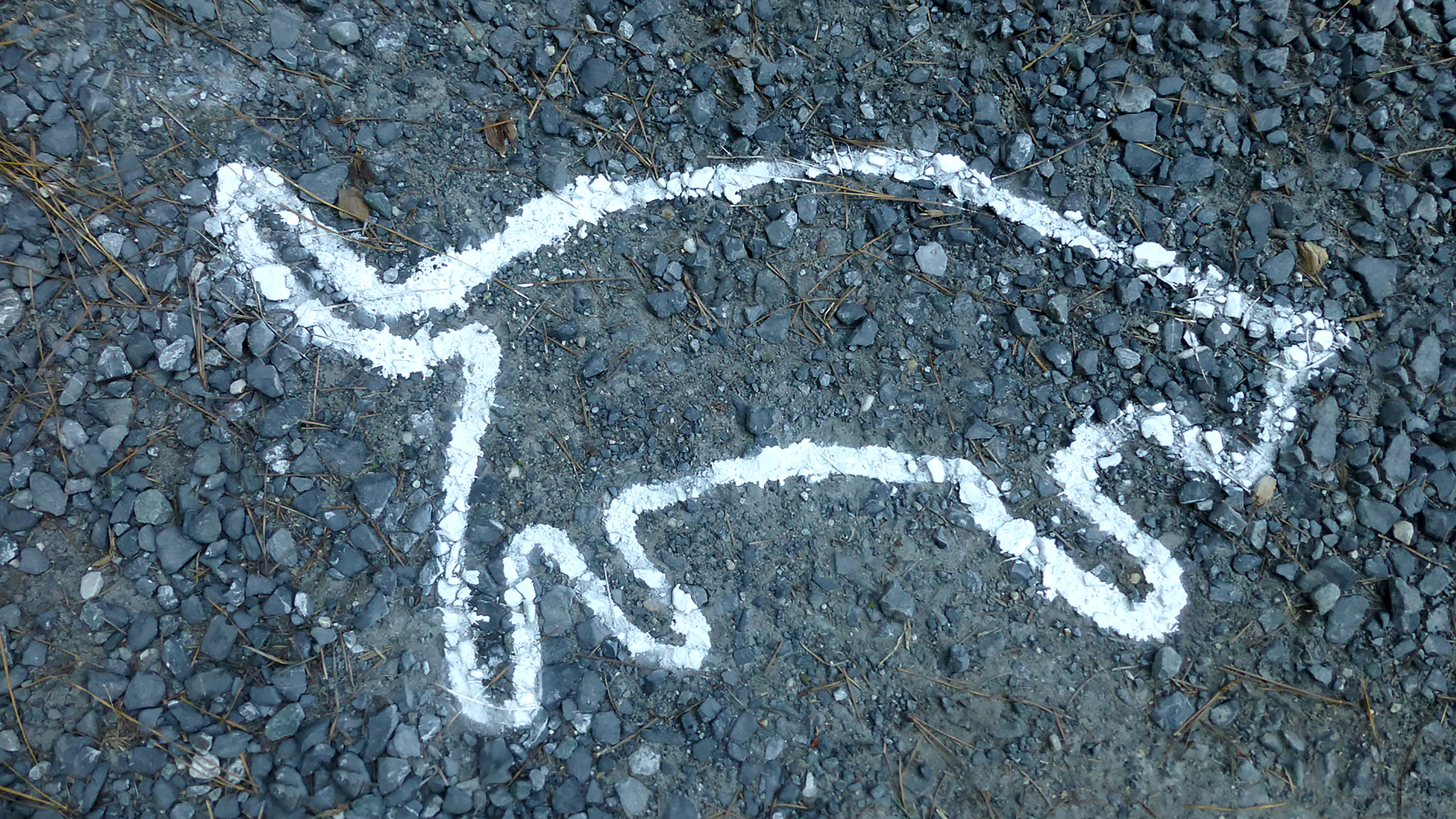 PICKLE - Short Documentary