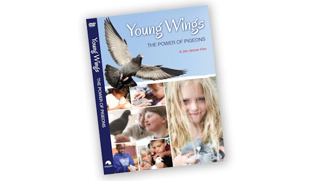 Young Wings