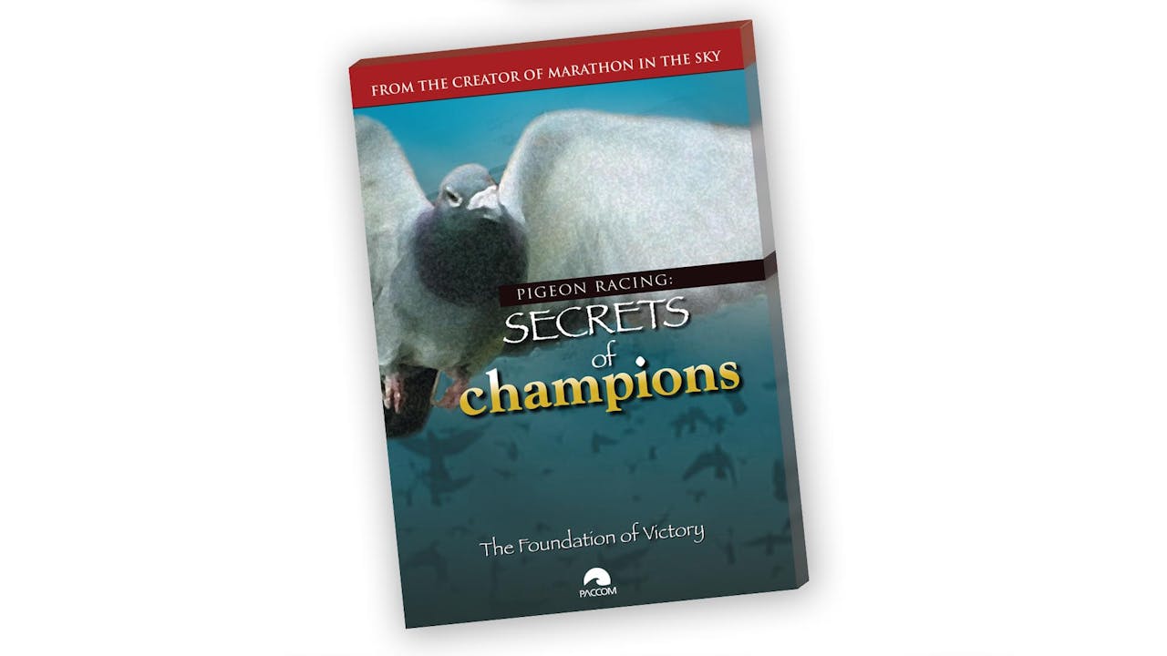 Secrets of Champions I  - The Foundation of Victory
