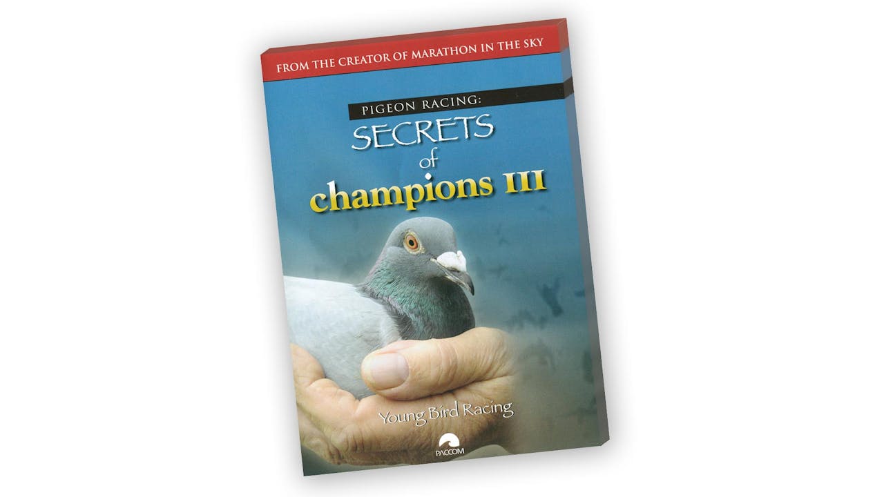 Secrets of Champions III - Young Bird Racing