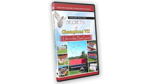 Secrets of Champions VII: Life in the Fast Lane
