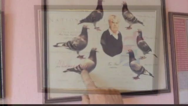 SOC V - Chapter Three - England