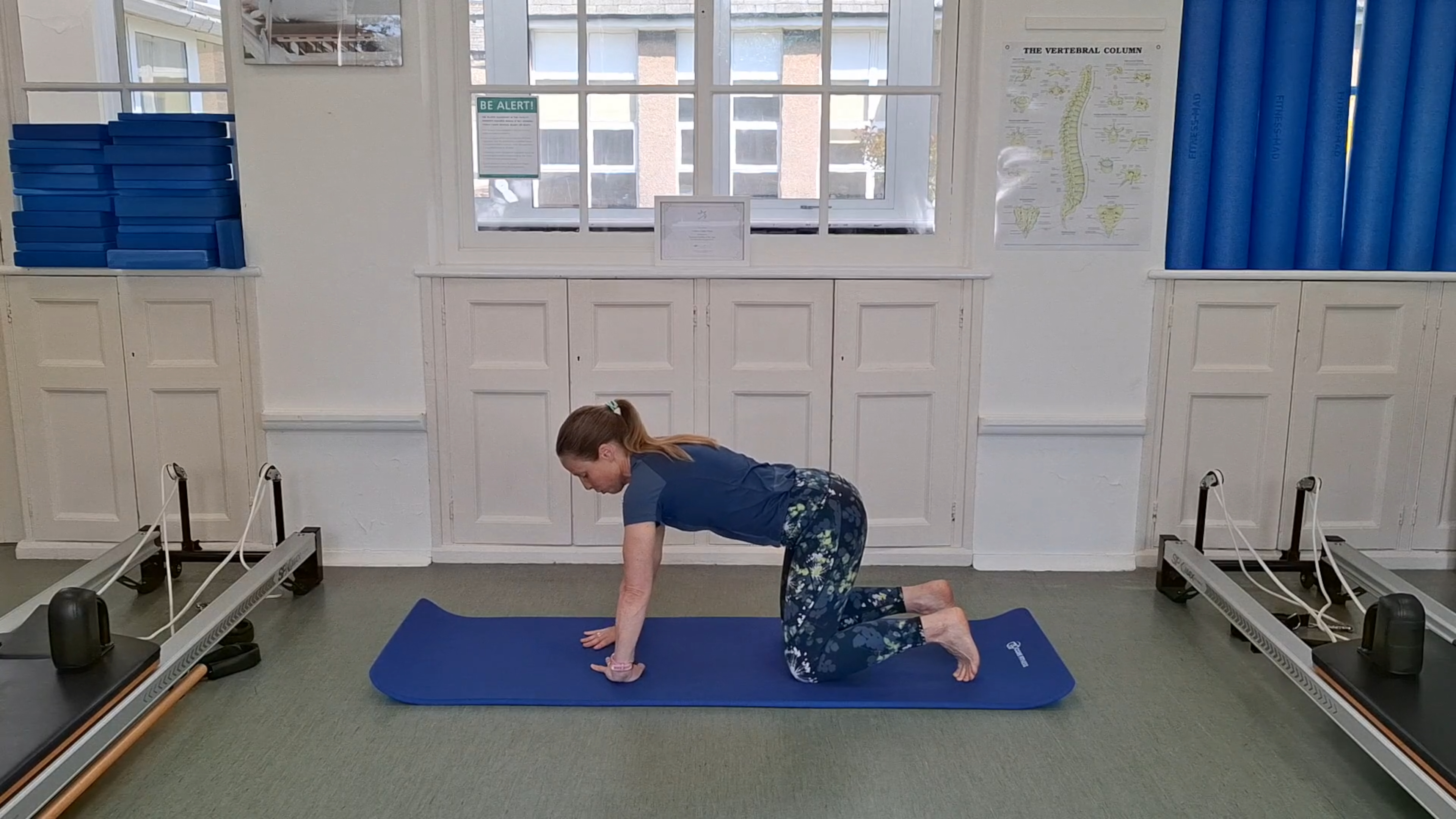 Level 2 Mat Class, with Jess