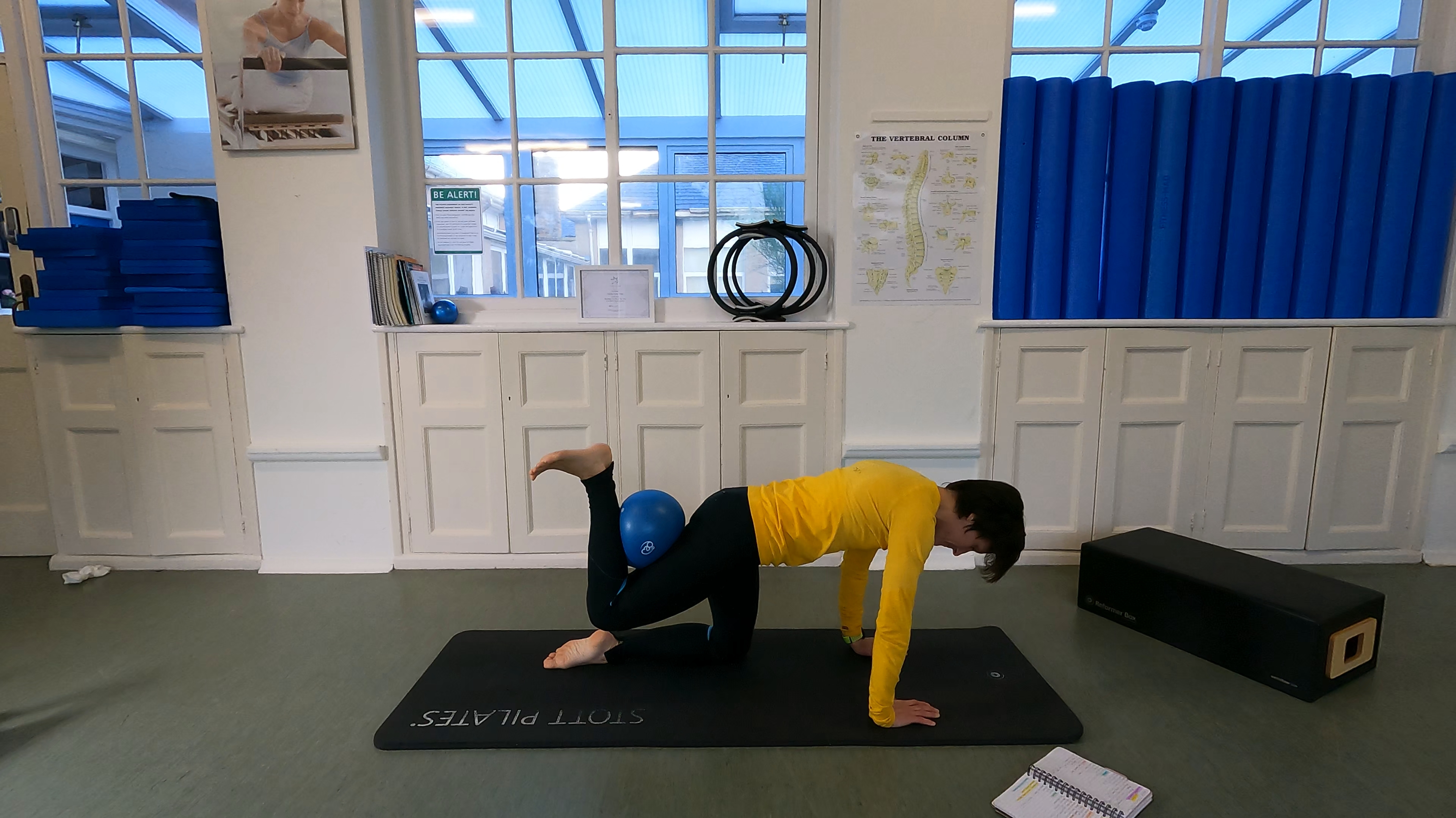 Level 3 Ball Class, with Beth