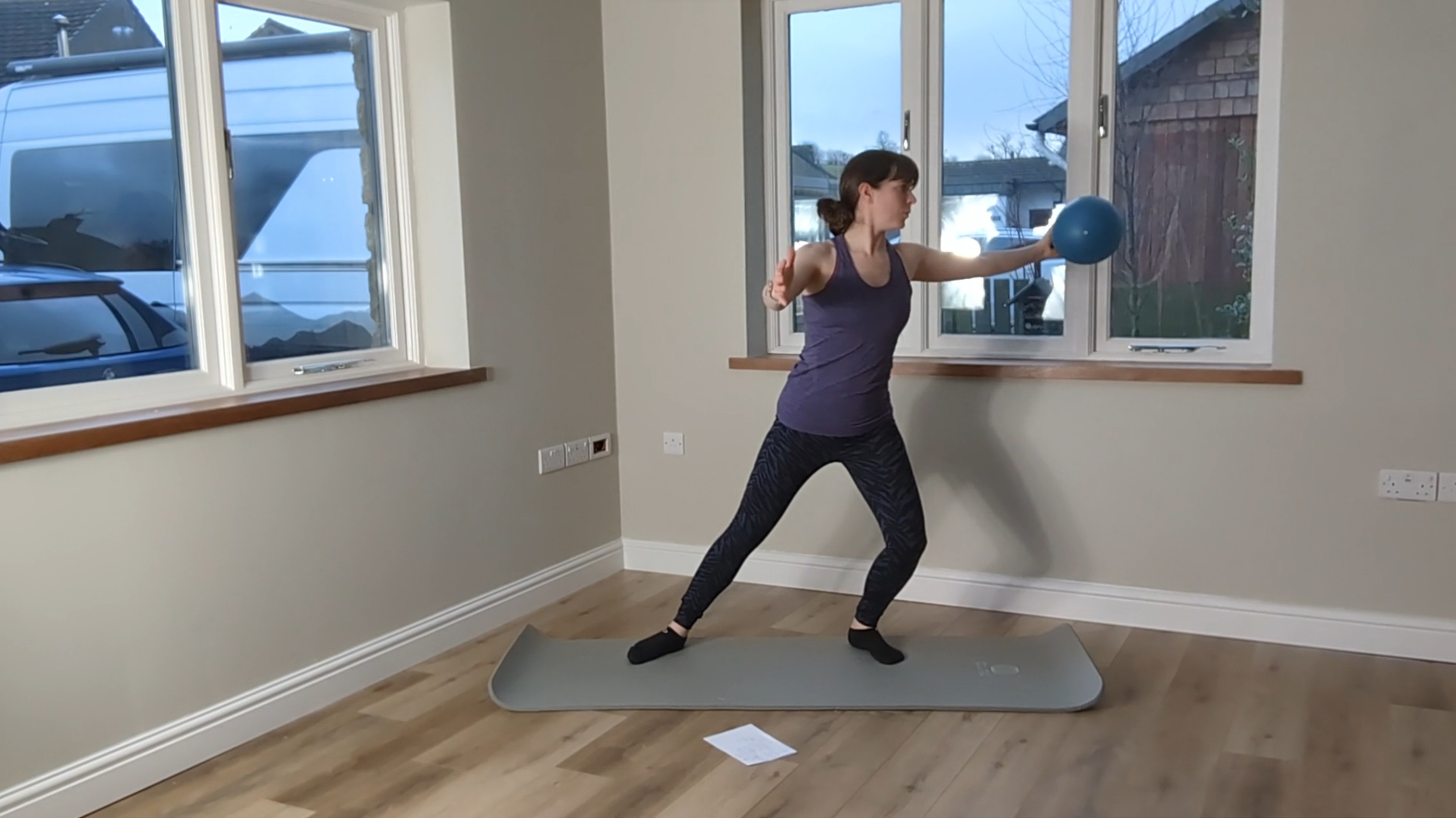 Level 1 Ball Class, with Kirsten