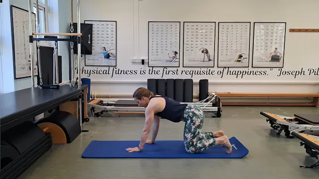 Level 2 Mat Class, with Jess